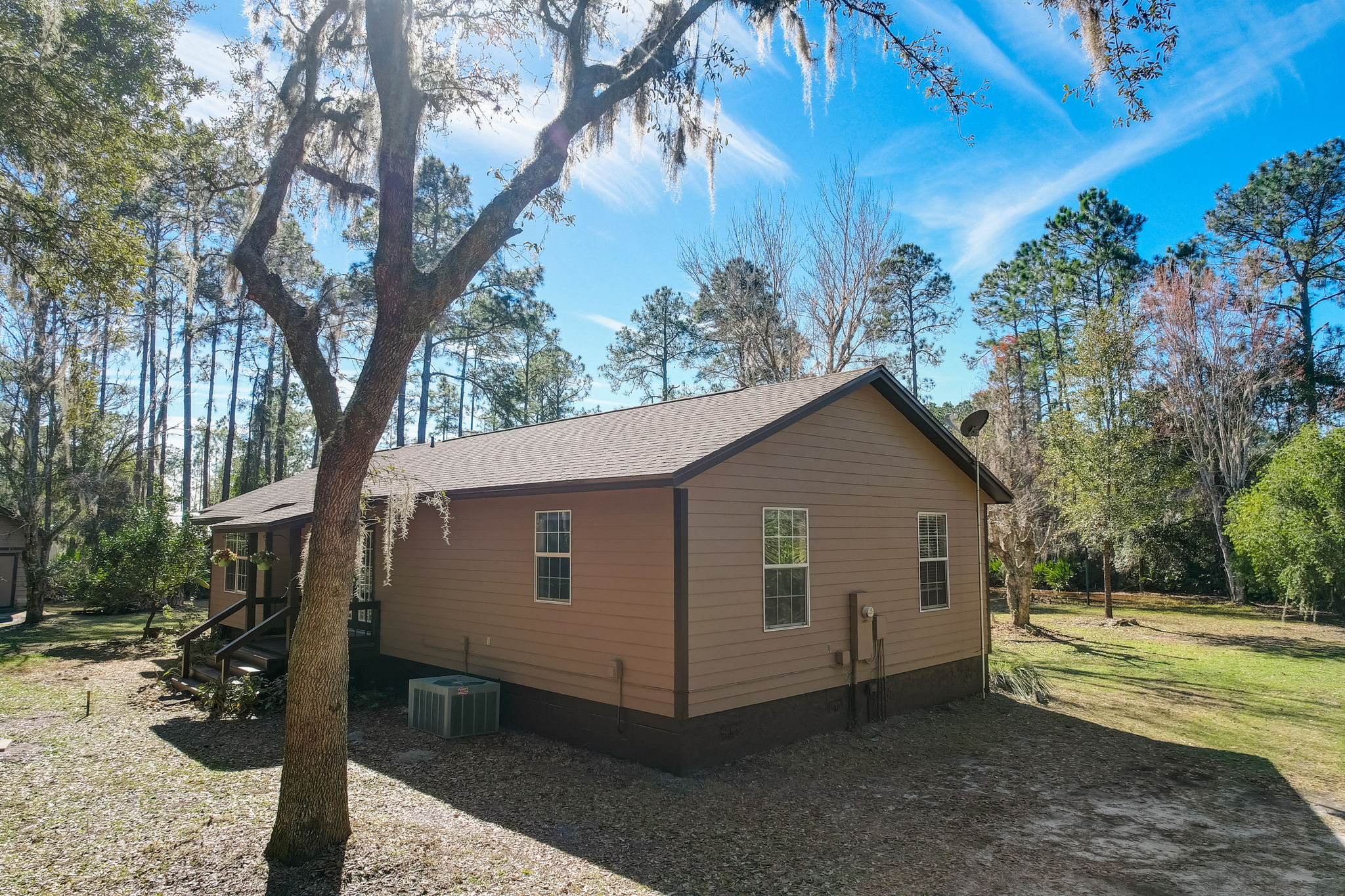 Water Oak Ct-043