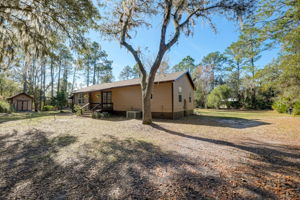 Water Oak Ct-031