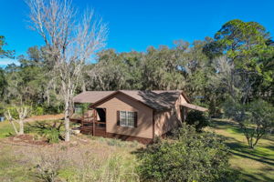 Water Oak Ct-040