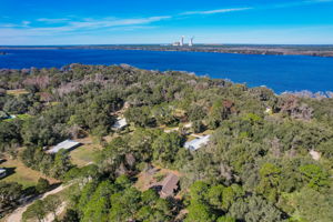Water Oak Ct-036