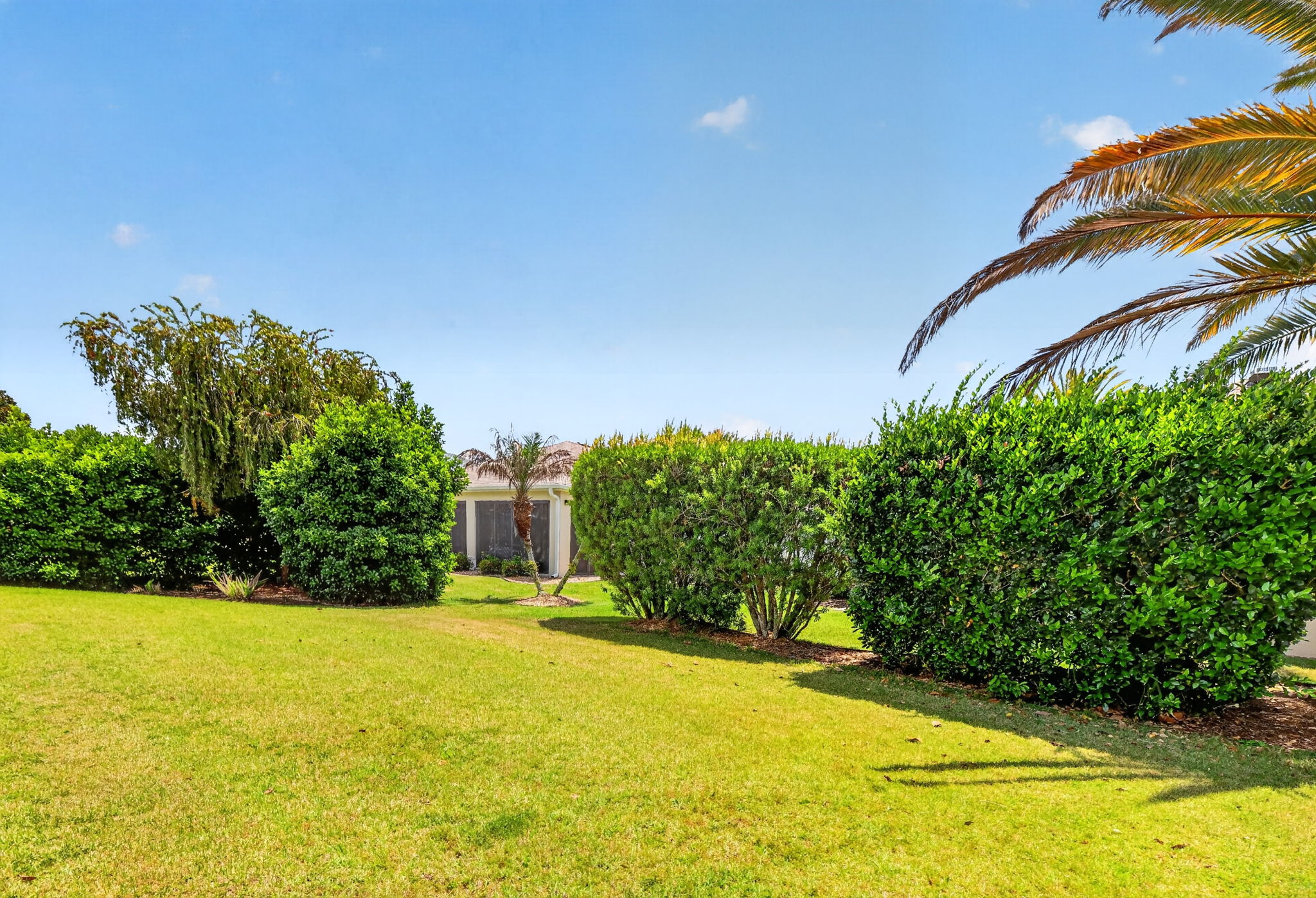 Rear PRIVACY Landscaping