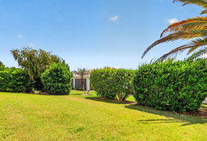 Rear PRIVACY Landscaping