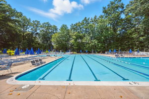 TallyHo Pool