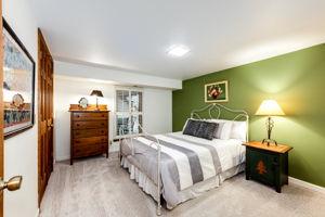 Secondary Basement Bedroom