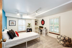 Secondary Basement Bedroom