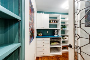 Dance in Pantry w Custom Storage System