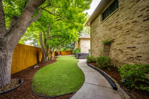 Astroturf Backyard w Mature Trees