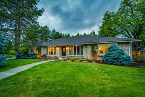 Professionally Landscaped Front Yard