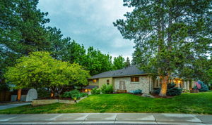 Corner View with Shed & Mature Trees