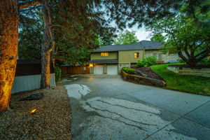 Driveway w Pro Lighting & Landscaping