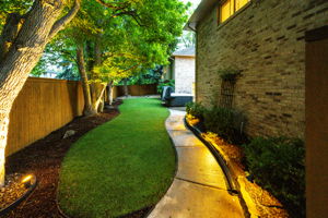 Twilight Ambiance on Backyard