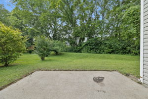  Photo 37