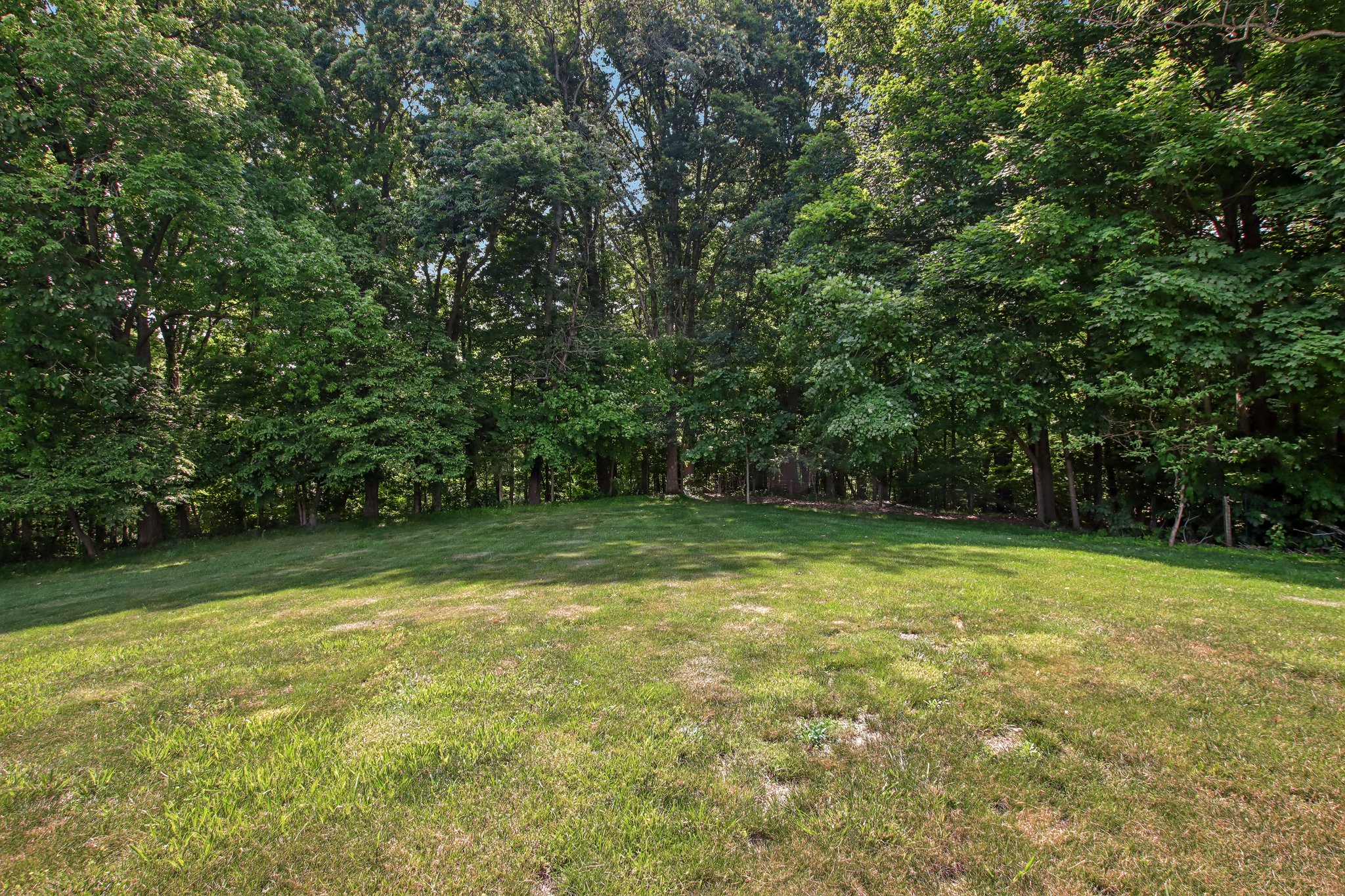 W Cedar Ln-S0706-059.jpg