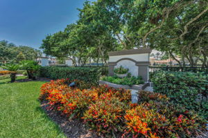 7c-Champions Clubhouse Entry