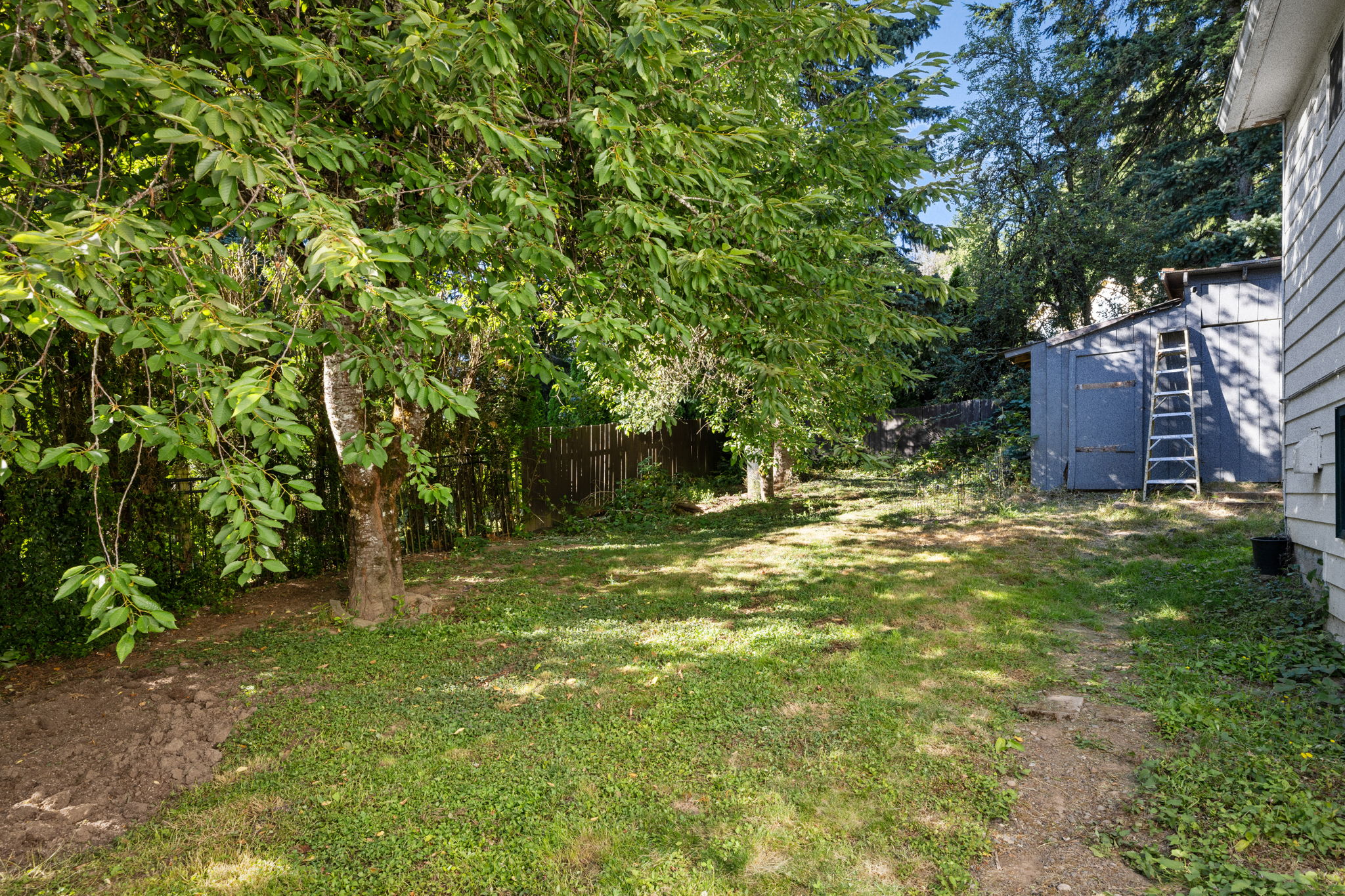  Photo 27