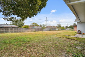 Back Yard