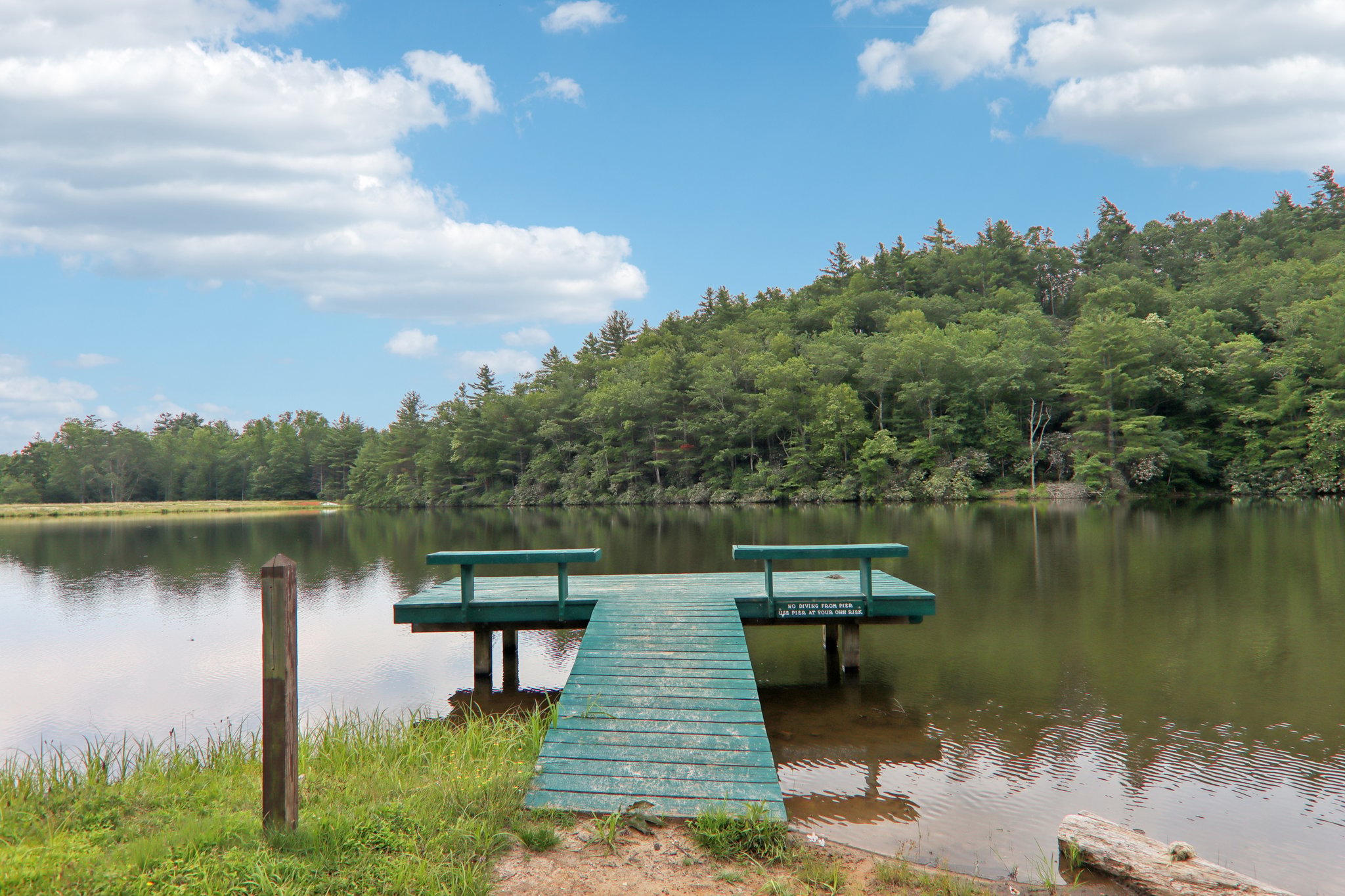 Swiss Pine Lake Dr-1207-908.jpg