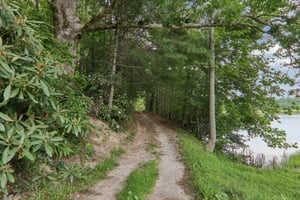 Swiss Pine Lake Dr-1207-909.jpg
