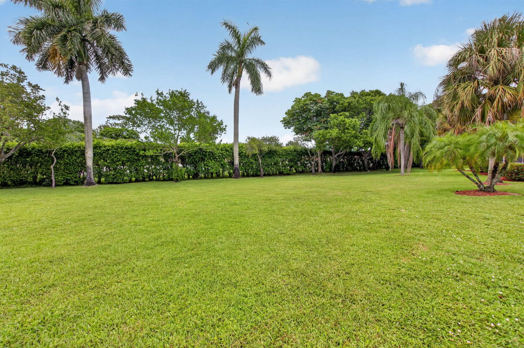  Photo 50