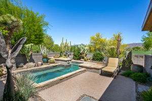 Back Yards