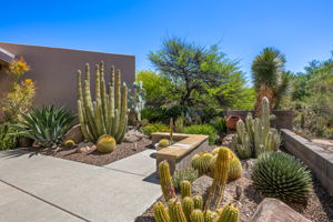Front Court Yards