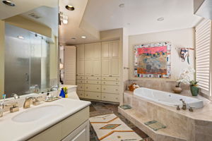Primary Bath Details