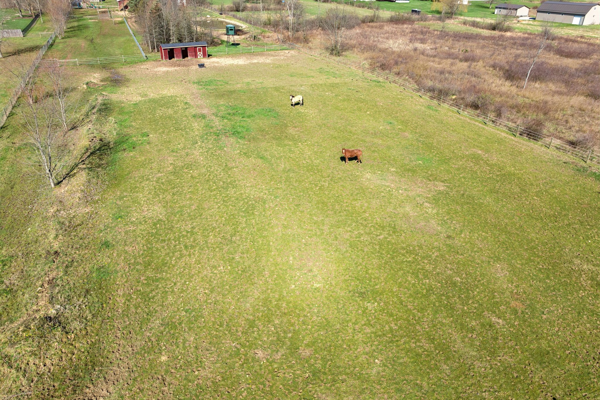 Clapsaddle Ave-S1004-105.jpg