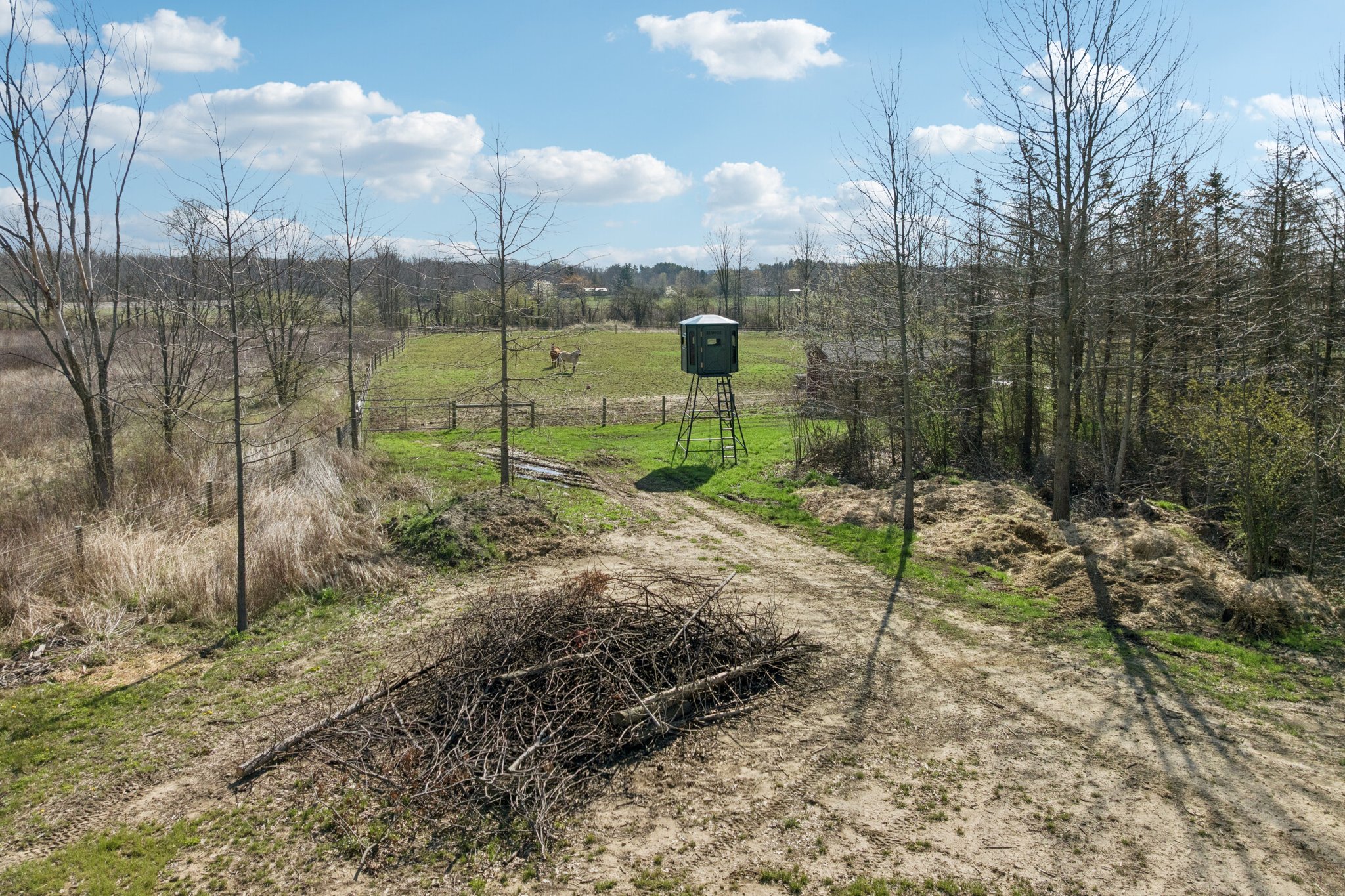 Clapsaddle Ave-S1004-119.jpg