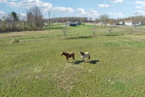 Clapsaddle Ave-S1004-110.jpg