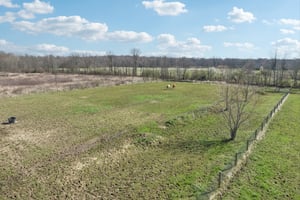 Clapsaddle Ave-S1004-114.jpg