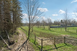 Clapsaddle Ave-S1004-124.jpg