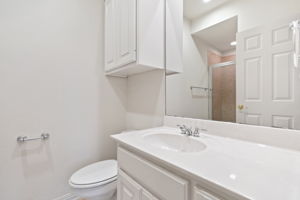 Lower Level - Bathroom