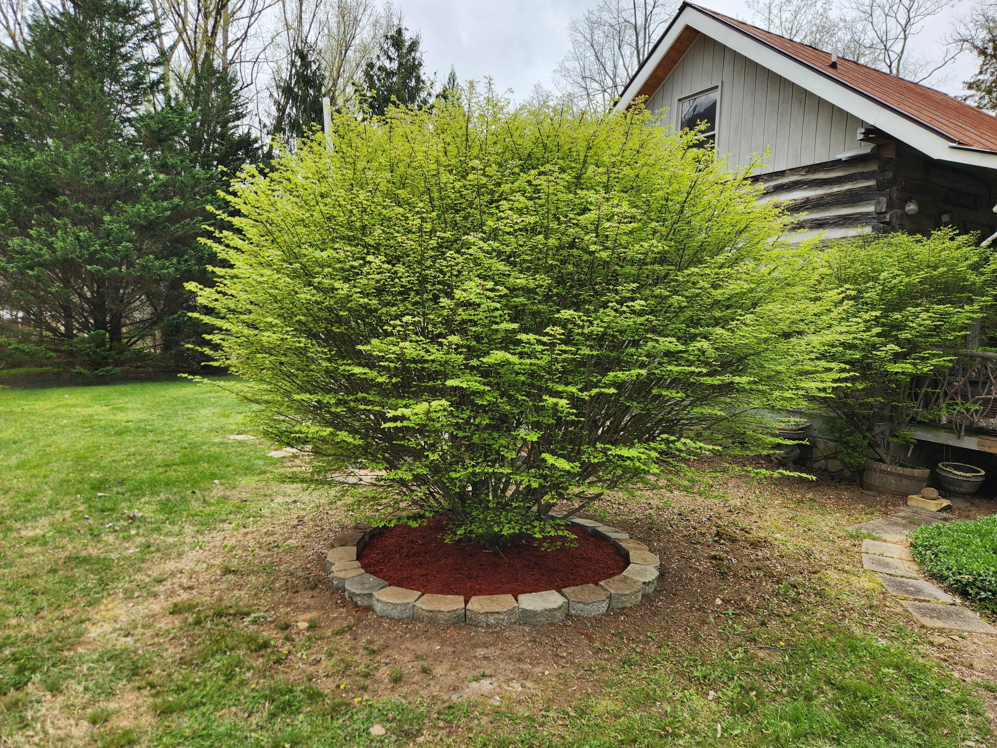  Photo 41