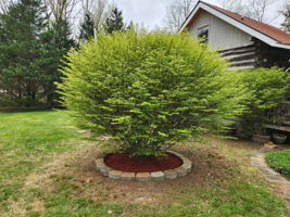  Photo 40
