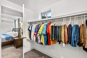 Basement bedroom with walk-in closet