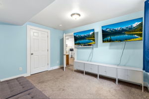 Basement bedroom, currently used as a second family room. Bonus...check out the cool space that doubles as a closet.