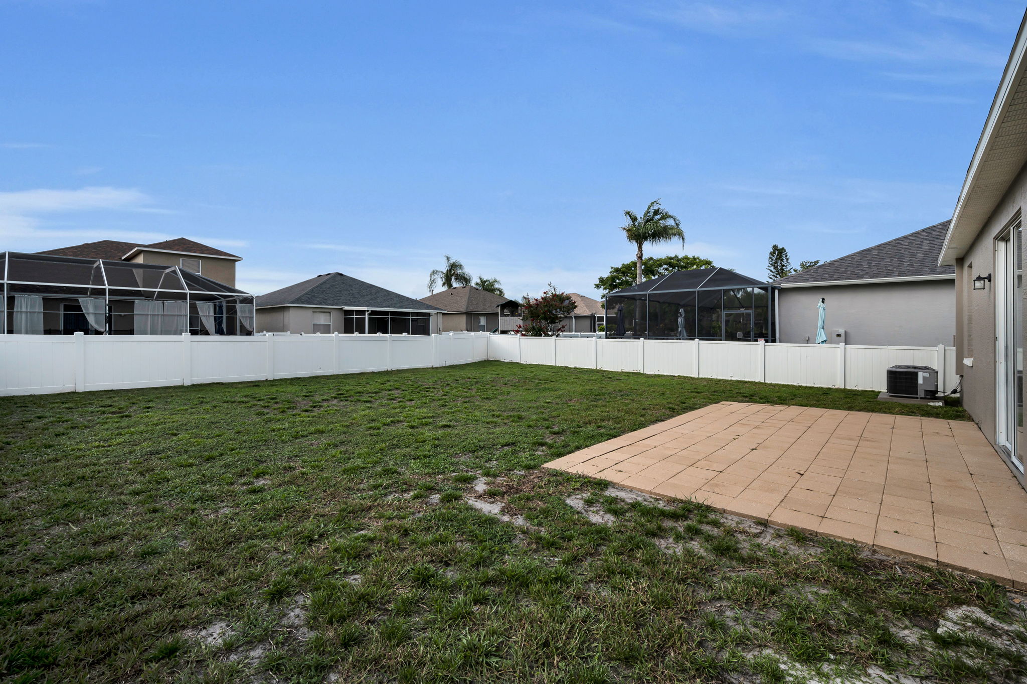Backyard1