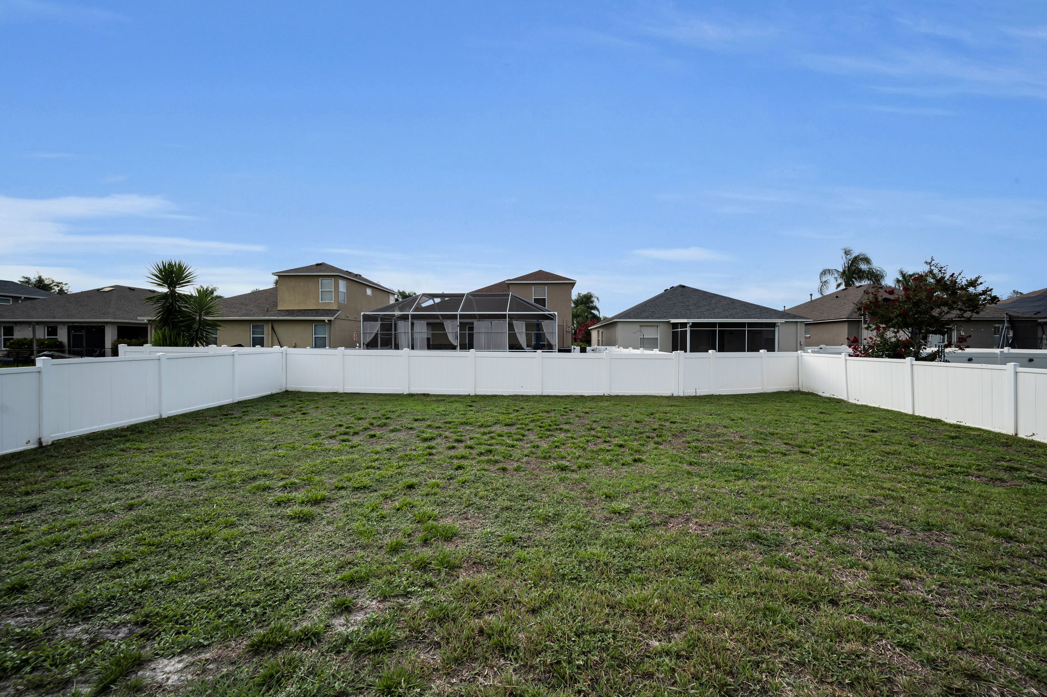 Backyard2
