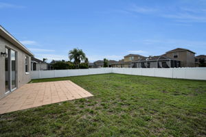 Backyard3