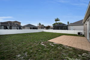 Backyard1