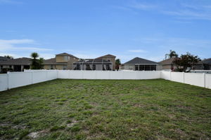 Backyard2