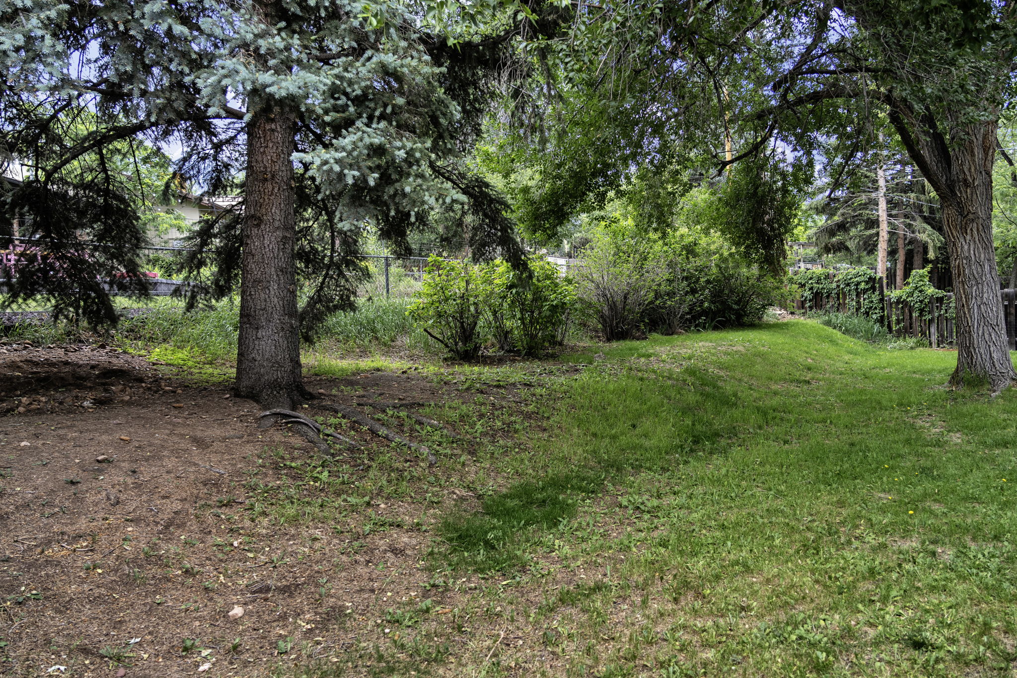  Photo 32