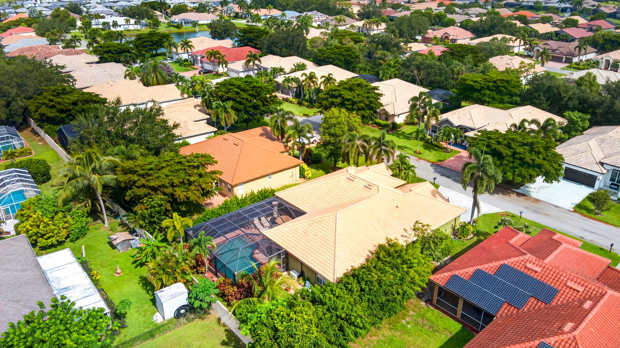 Aerial 5
