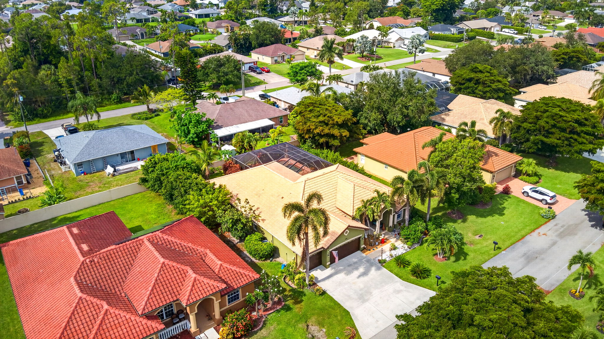 Aerial 6
