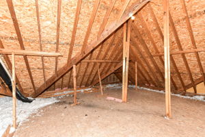 Potential Bonus Room