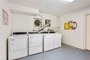 Shared Laundry in Basement
