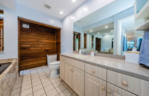 Master Bathroom 1b