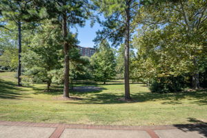 Stroll through Rushton Park to ROJO & O'Henry's