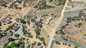 Birds Eye