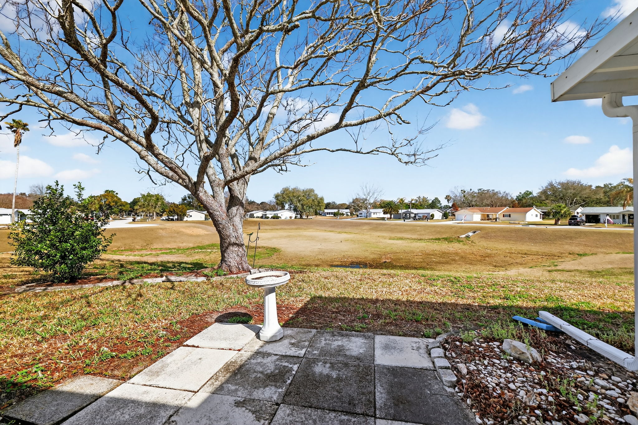 Rear Patio with Preserve Views